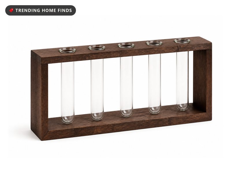 Five slim glass test tubes of leafy cuttings with visible roots held upright in a dark wood frame.