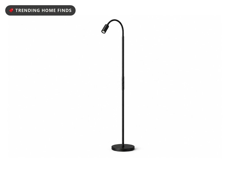 Black gooseneck reading floor lamp with a small spotlight head, remote control and three light color modes