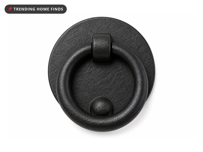 A black cast iron ring door knocker with a round backplate mounted on a painted door.