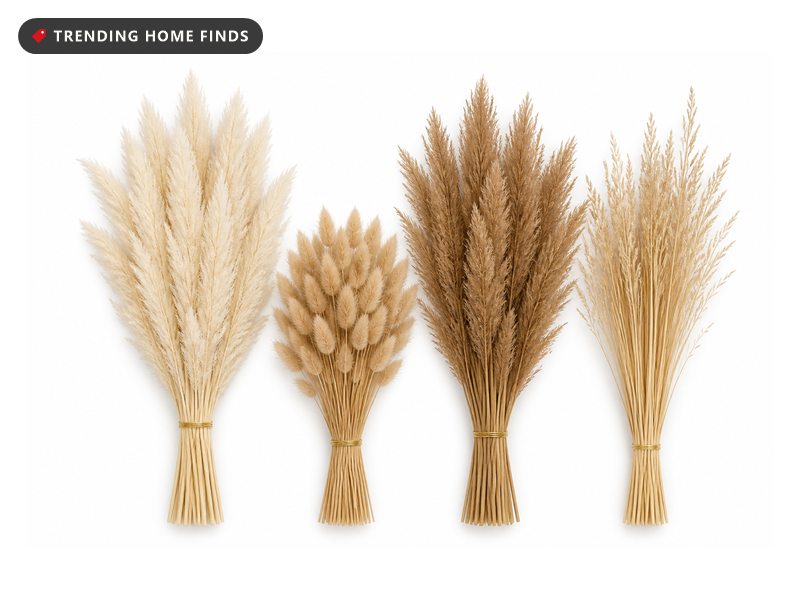 Bundles of cream and brown dried pampas grass, bunny tails and reed grass.