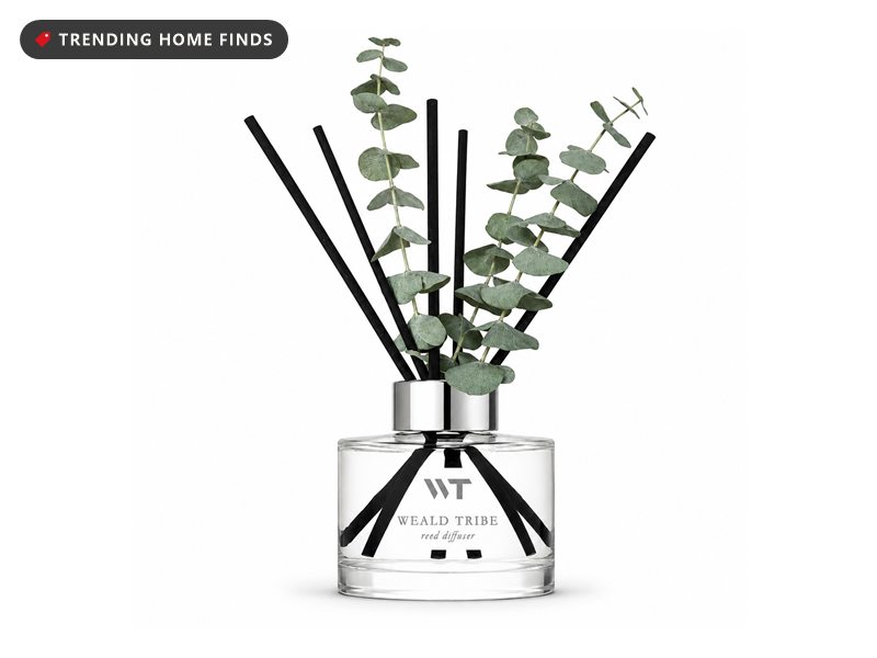 Clear glass reed diffuser with black reeds and eucalyptus stems