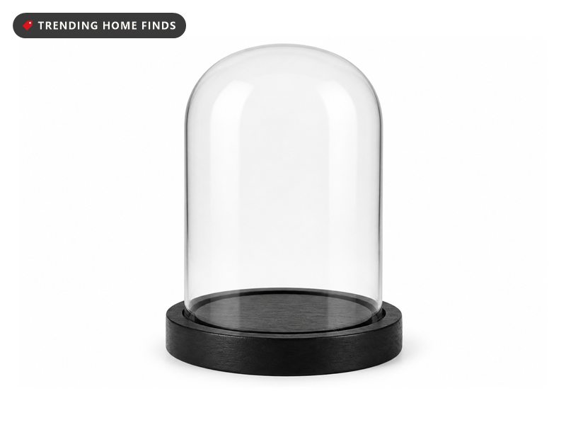 A clear glass dome with a rounded top seated in a groove on a round black wood base.