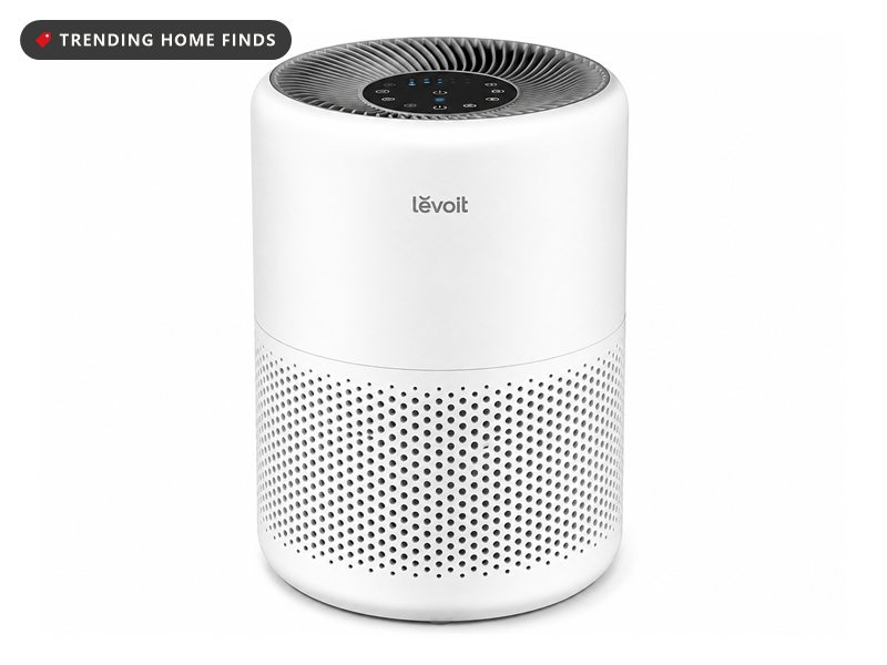 White cylindrical LEVOIT Vital 100S-P air purifier with a perforated body and a dark control panel on top