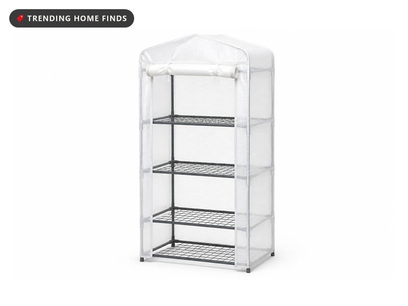 A four tier mini greenhouse with a translucent cover and the front panel rolled up.