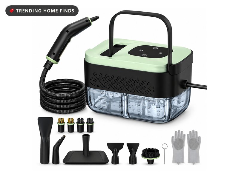 Mint green and black portable steam cleaner with a hose and trigger nozzle, shown with sixteen brush and nozzle attachments and a pair of gloves