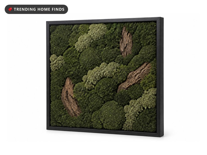 A square preserved moss panel in a black frame hanging above a sofa in warm evening lamp light, part of quiet living room wall decor.