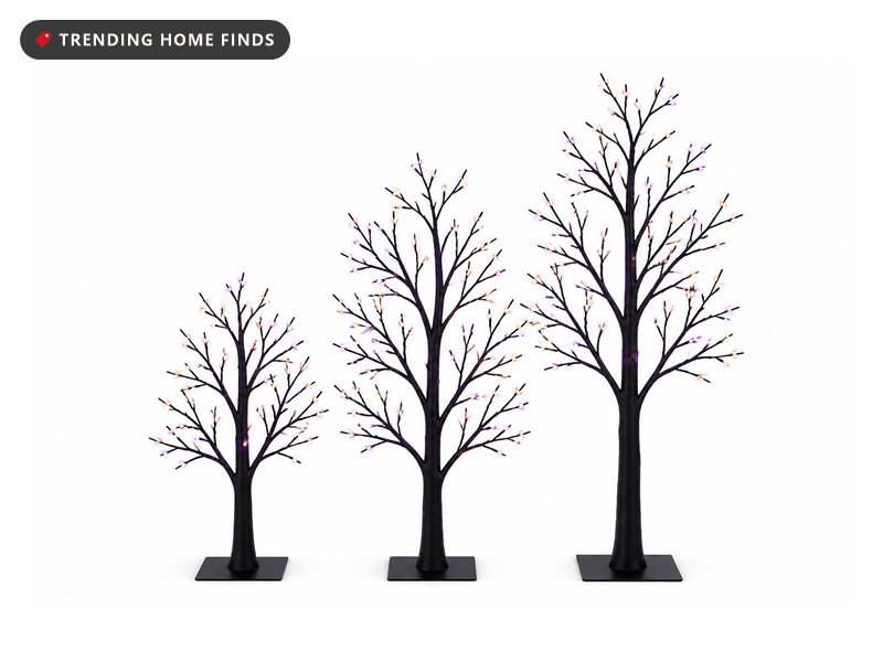 Three black bare branch trees stepping up in height, lit with small orange and purple LED bulbs against a dark background.